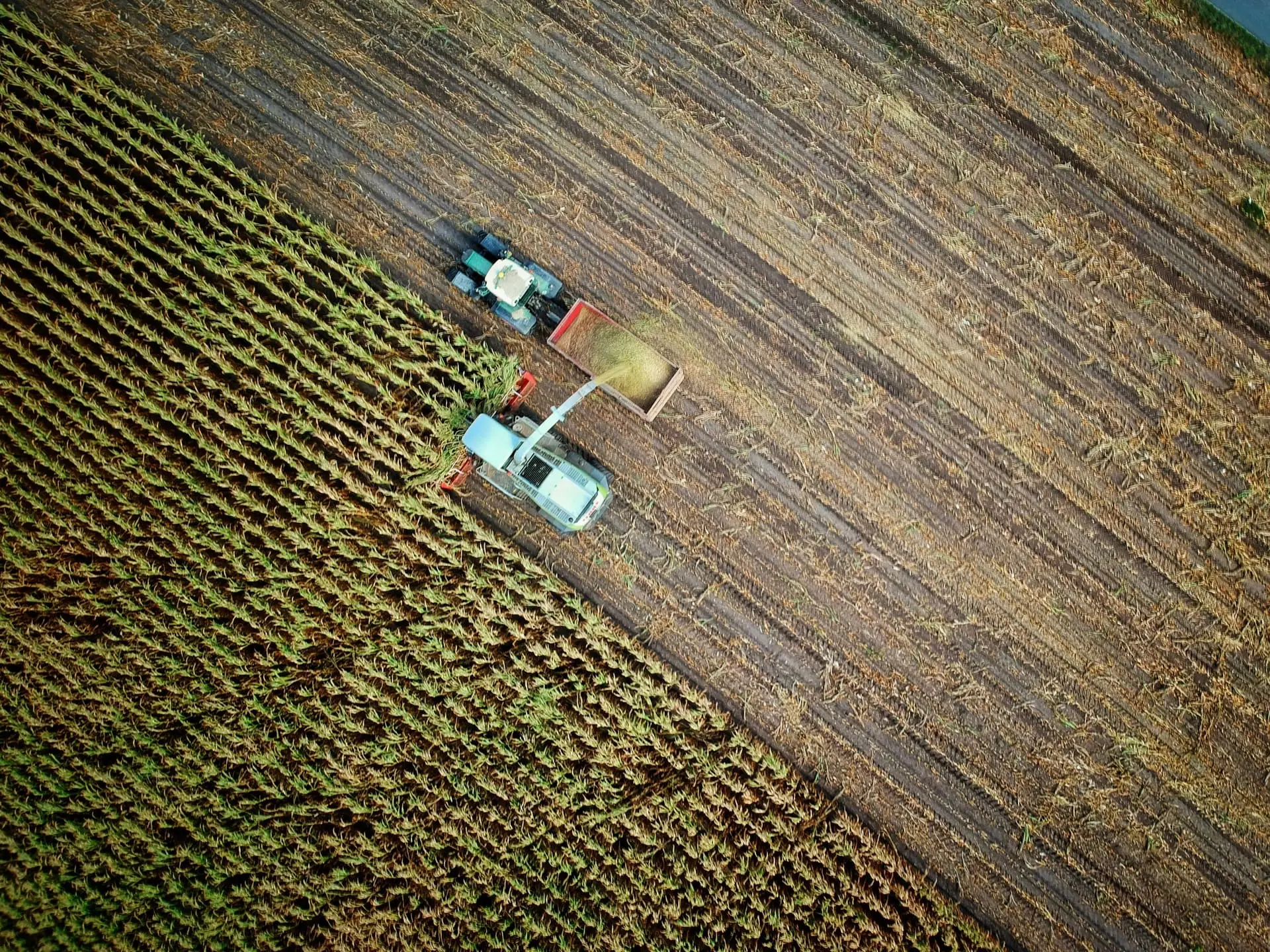 Sustainable Agriculture